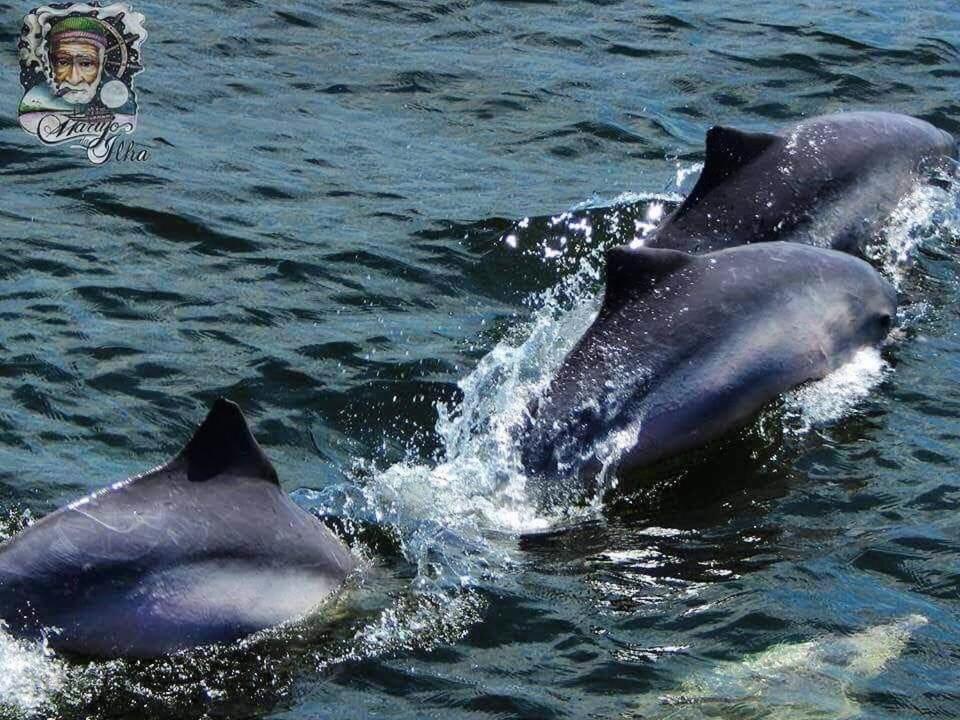 Pousada Del Mar Ilha Comprida Dış mekan fotoğraf